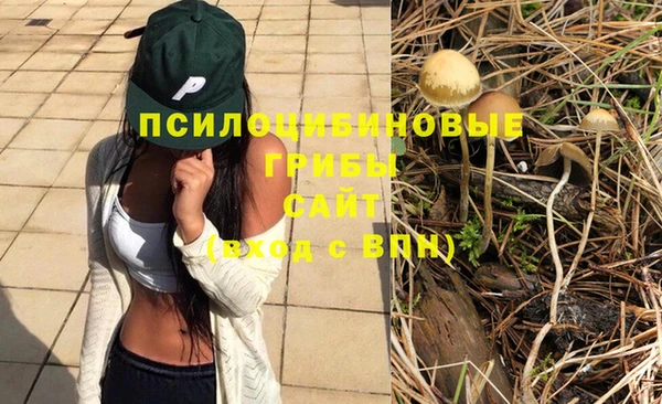 экстази Алексеевка