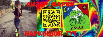 гидра Кингисепп